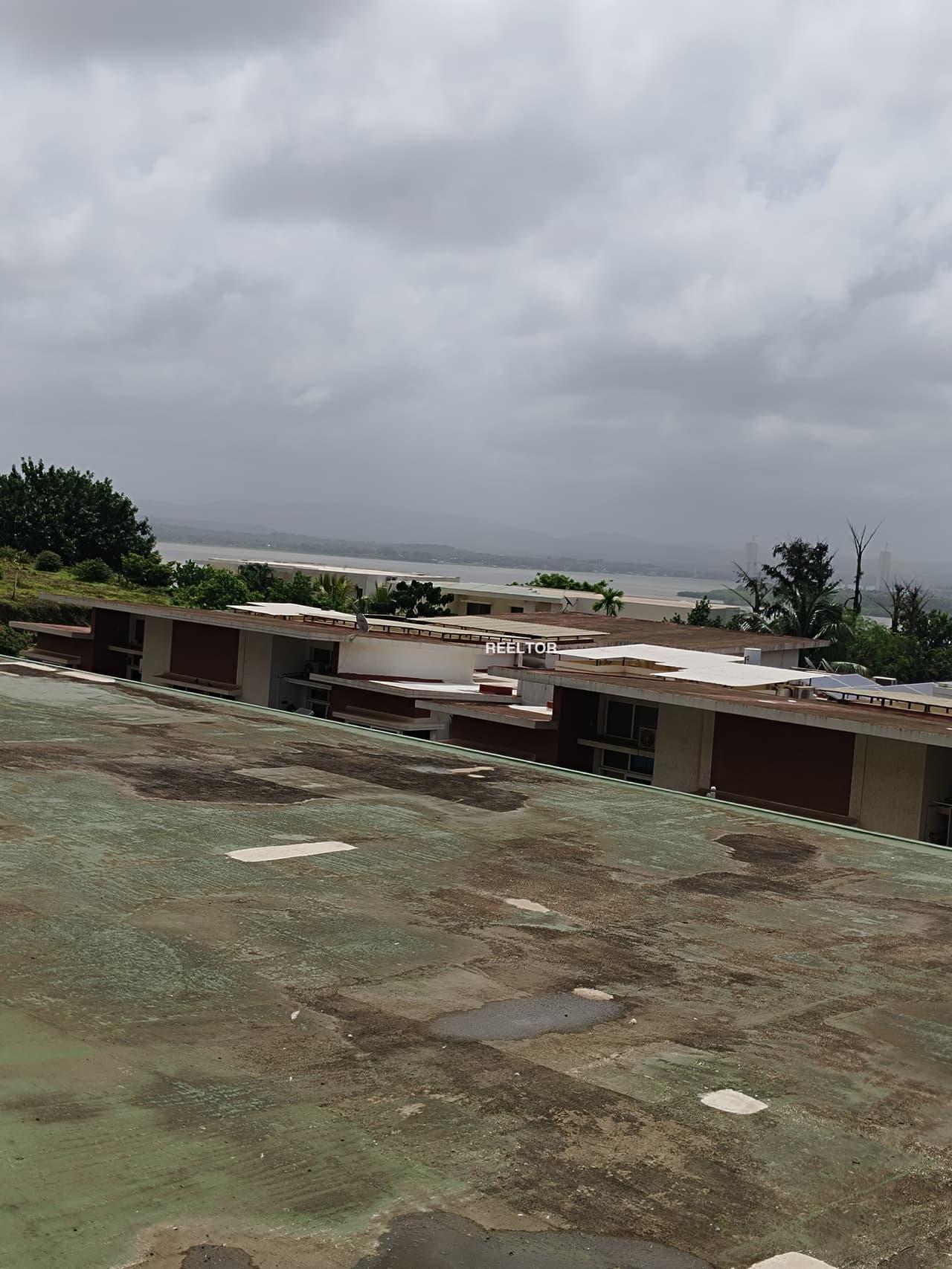 Flat For Rent In Lang Patiala