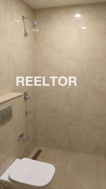 Pg For Rent In Dda Flats B Block Model Town