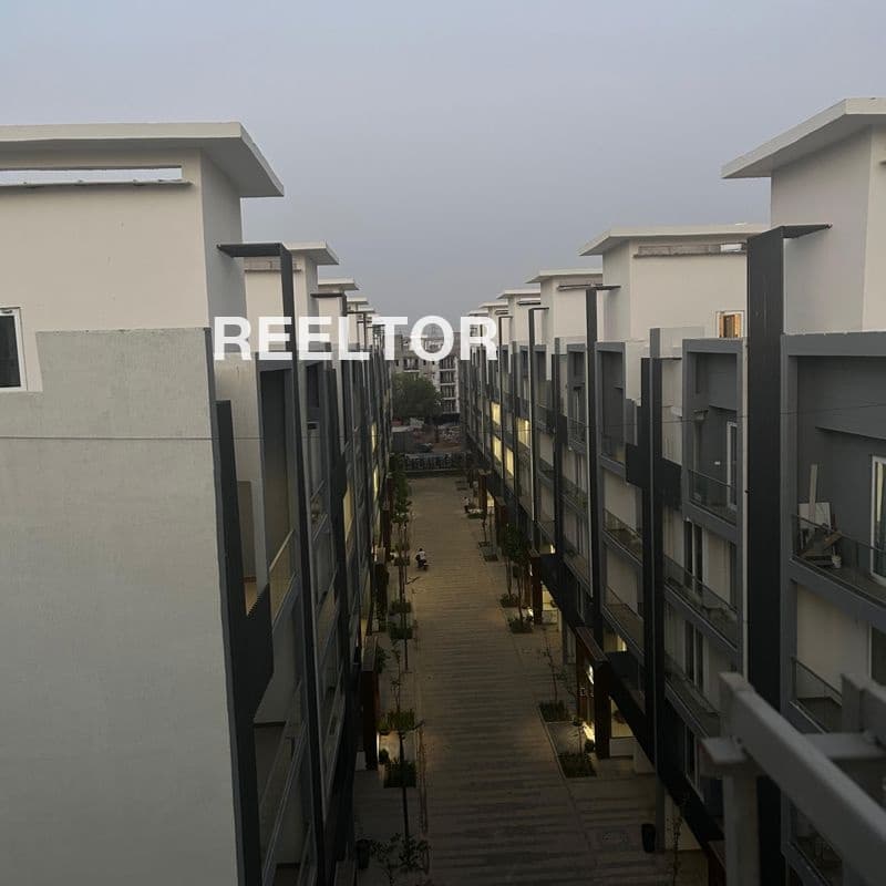 Flat For Rent In Pharog Rampur