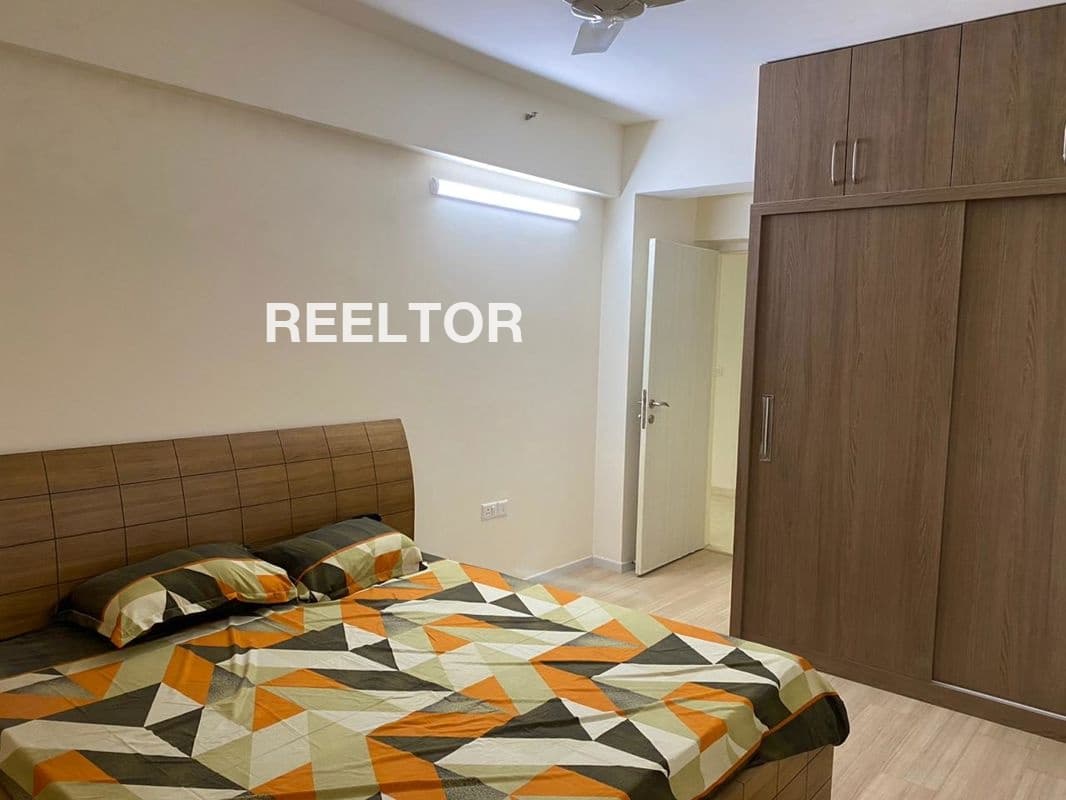Pg For Rent In Dda Flats C Block Model Town