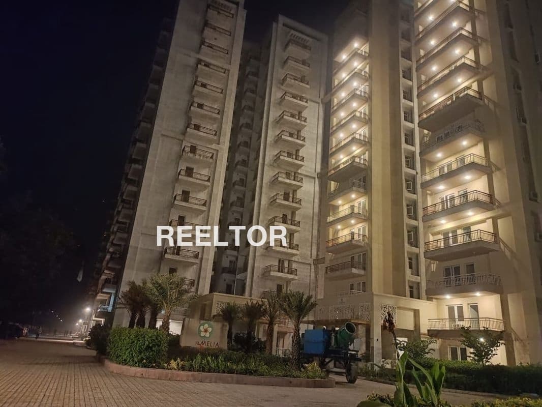 Flat For Rent In Lambi Malout