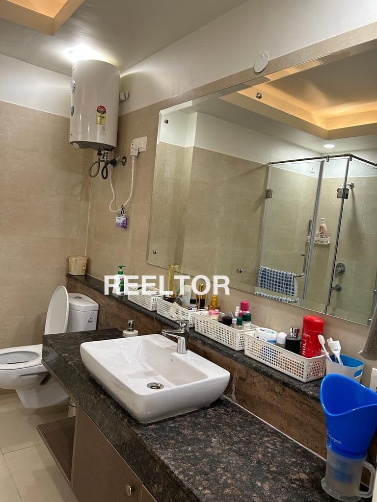 Flat For Rent In Delhi