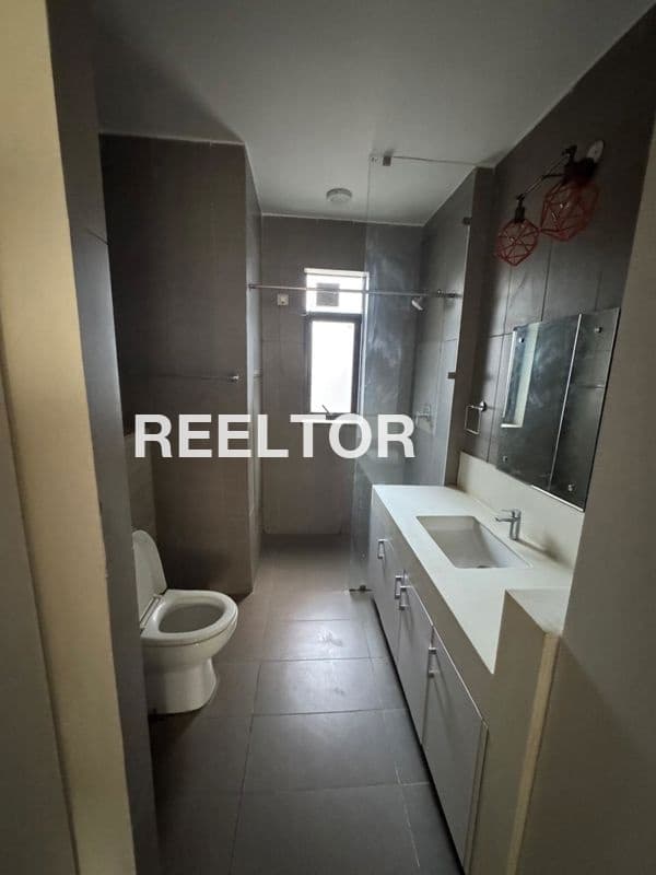 Flat For Rent In Mahendru Enclave Model Town