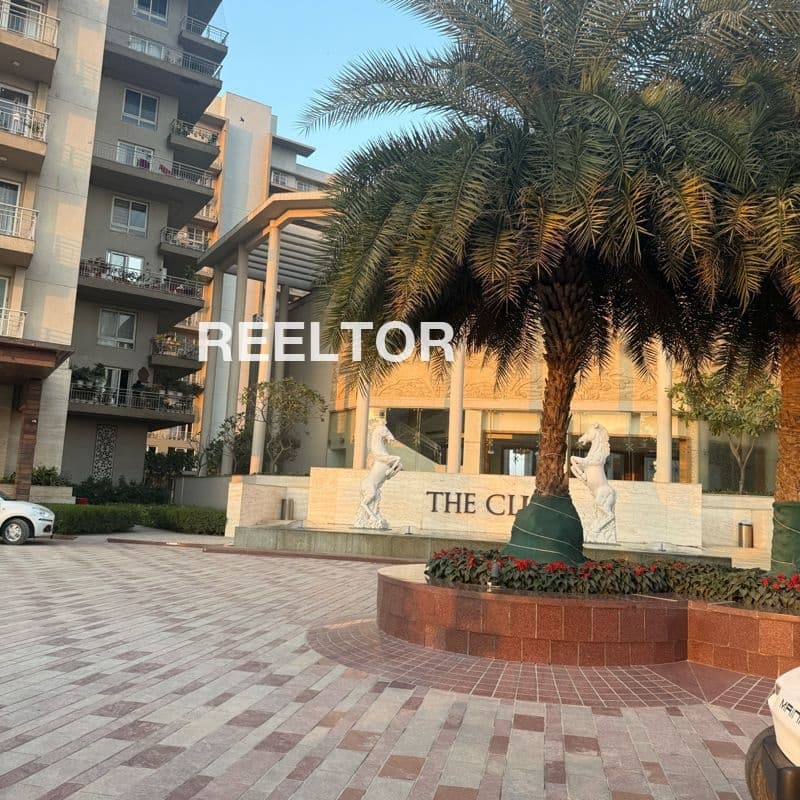 Flat For Rent In Kot Guru Bathinda