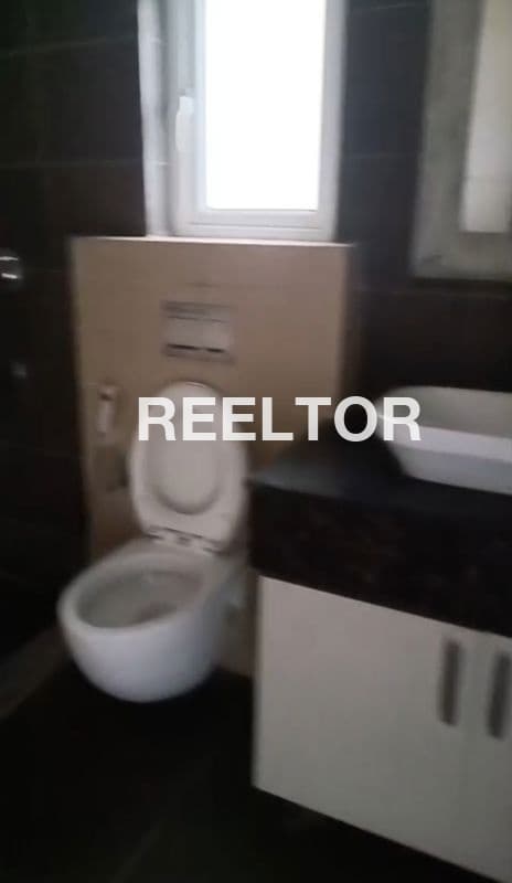 Pg For Rent In Dda Flats A Block Model Town