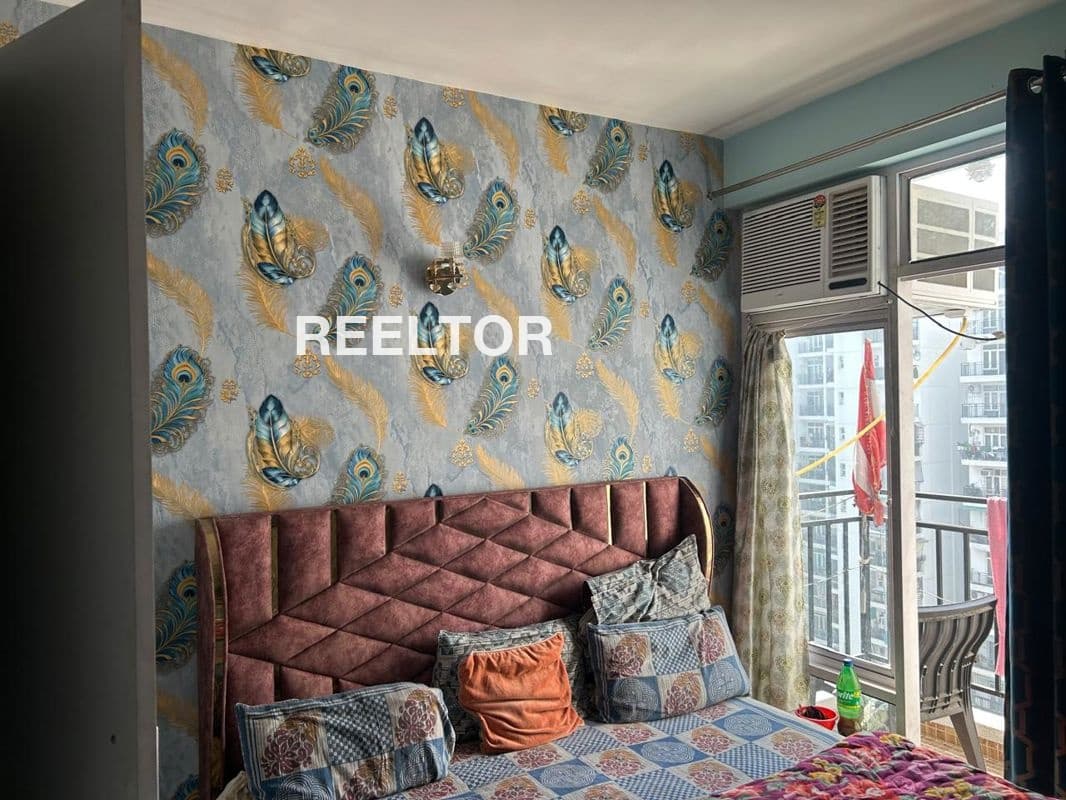 Pg For Sale In Dda Flats B Block Model Town