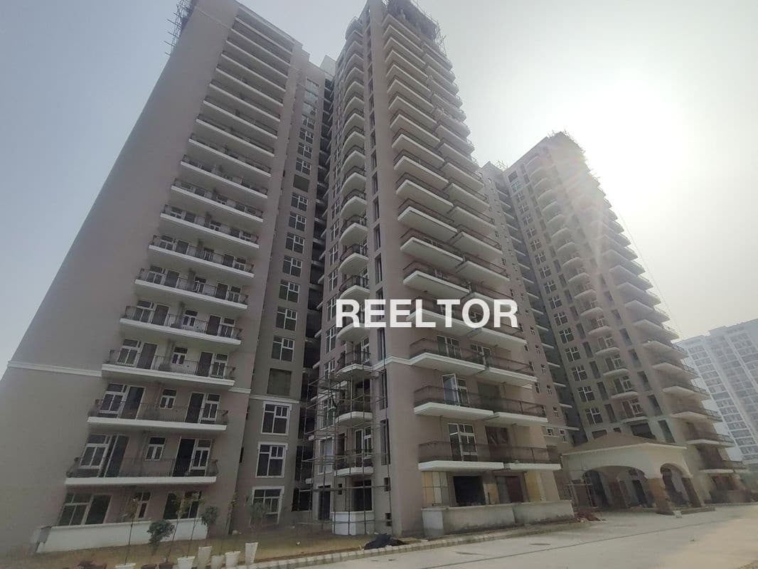 Flat For Rent In Kerala