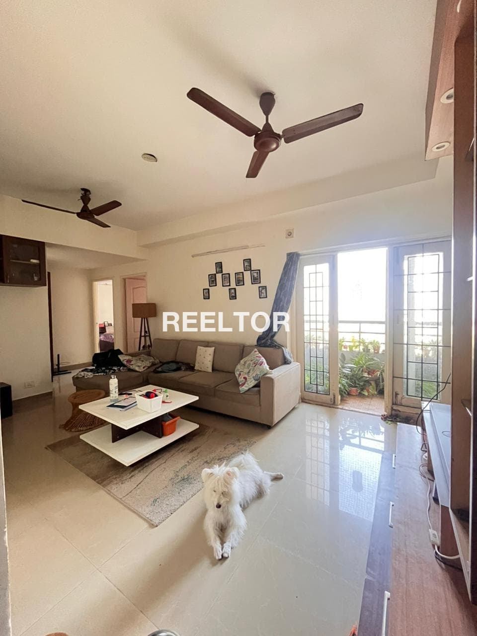 Flat For Rent In Bhangahir Palojori