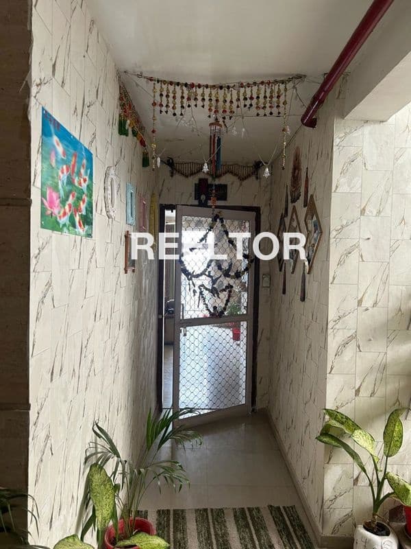 Flat For Rent In Mohammadpur Vasant Vihar