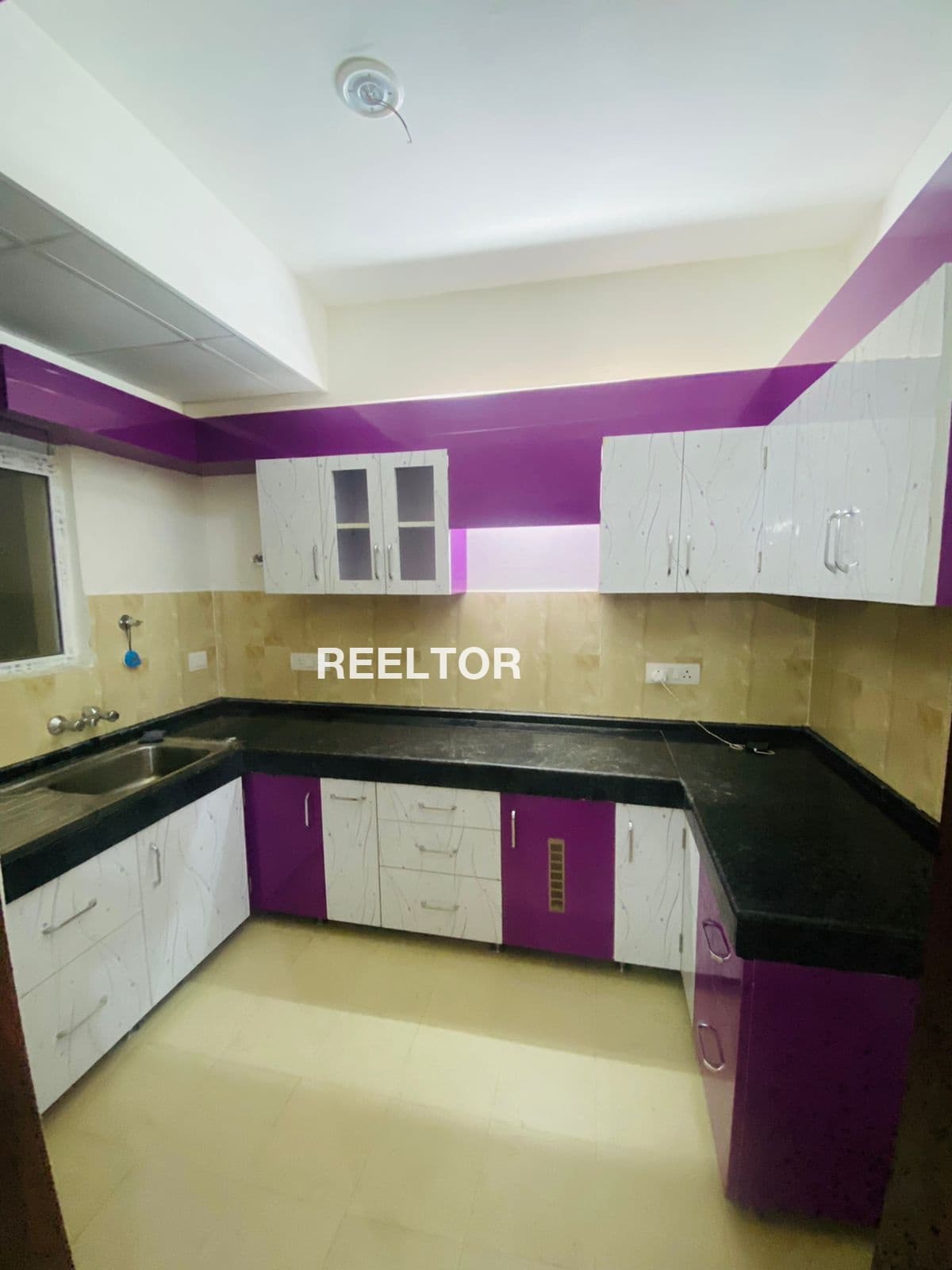 Pg For Rent In Dda Flats Model Town