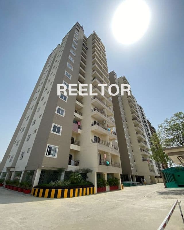 Pg For Rent In Dda Flats D Block Model Town