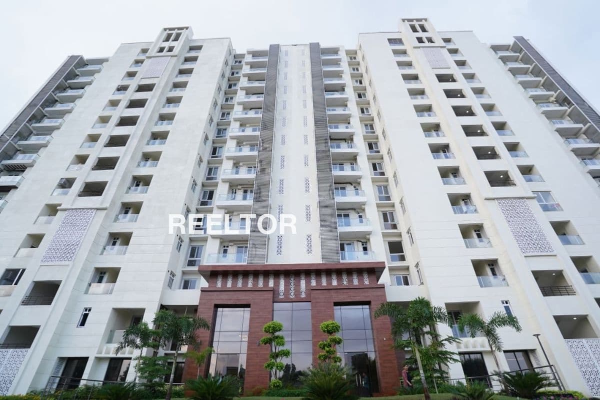 Flat For Rent In Sbi Colony Model Town