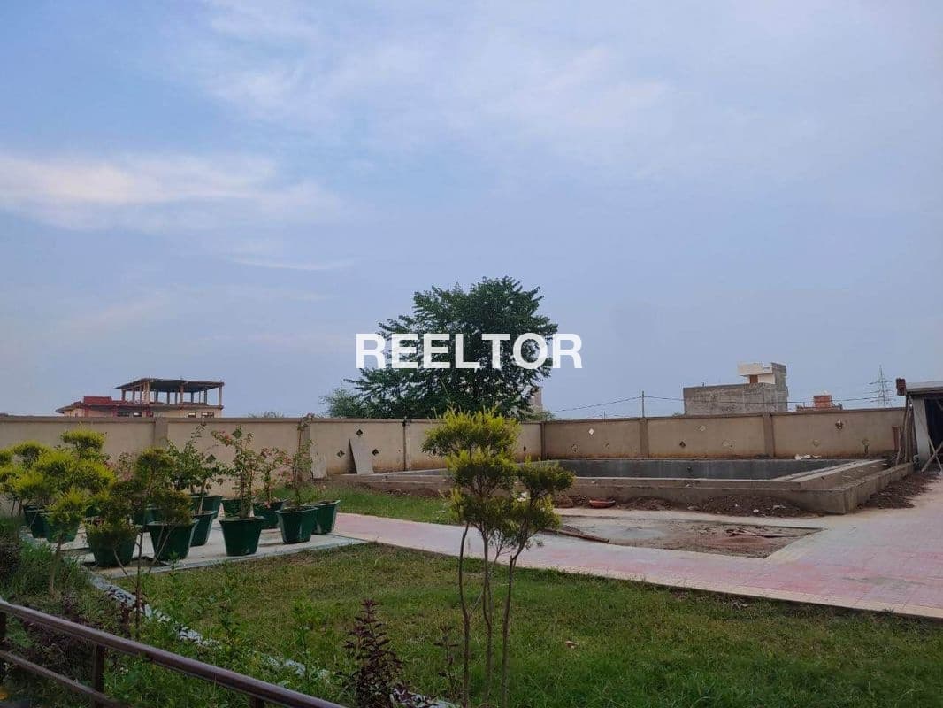Flat For Rent In Kothe Koer Singh Bathinda