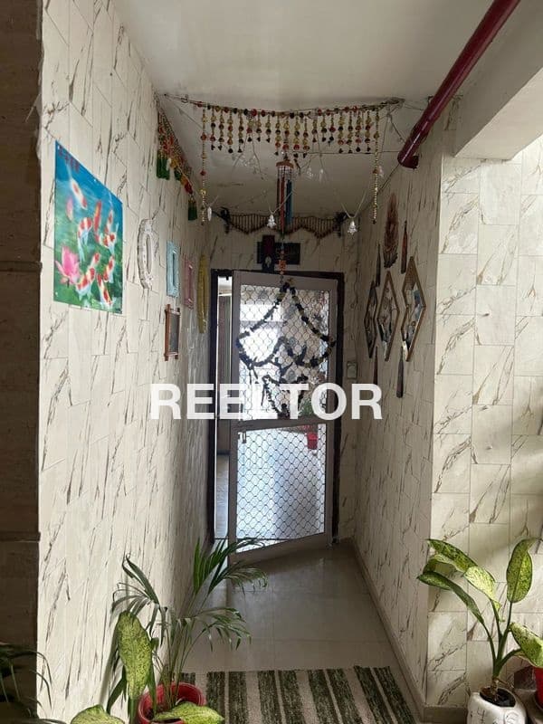 1 Bhk House For Rent In Sai Sadan Apartment Rayagada