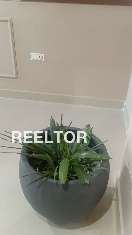 Flat For Rent In Najafgarh