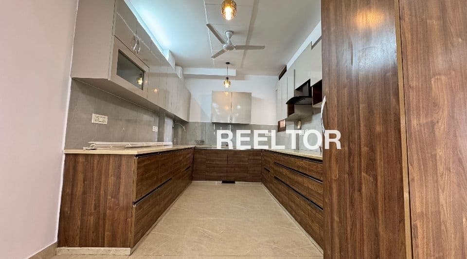 Pg For Rent In Dda Flats Model Town