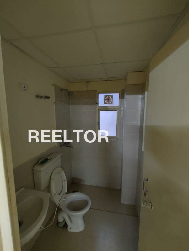 Pg For Sale In Dda Flats E Block Model Town