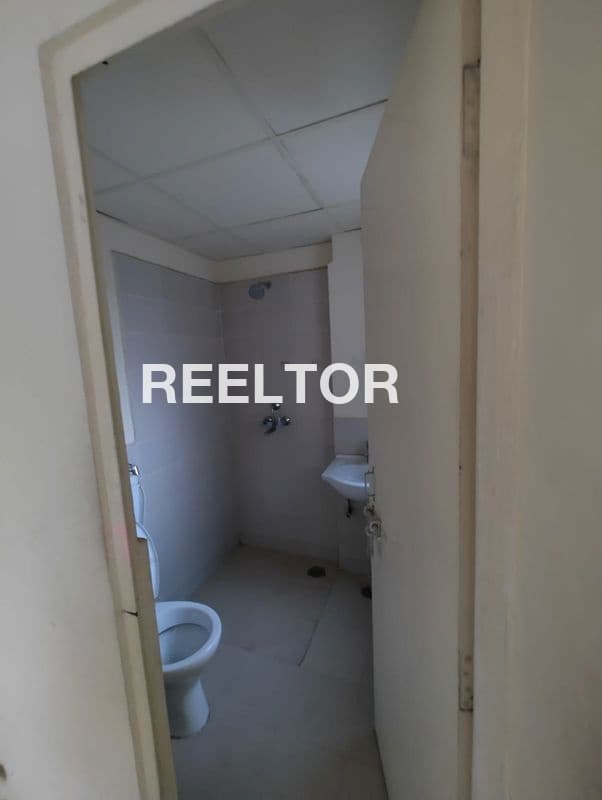 Hauz Khas 2 Bhk Flats For Rent Hauz Khas