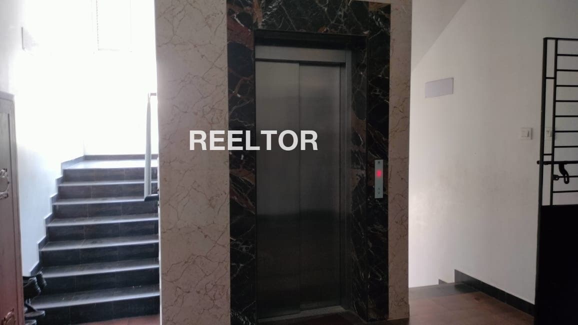 Flat For Rent In Punjabi Bagh West Saraswati Vihar