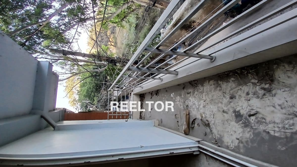 Pg For Rent In Dda Flats C Block Model Town