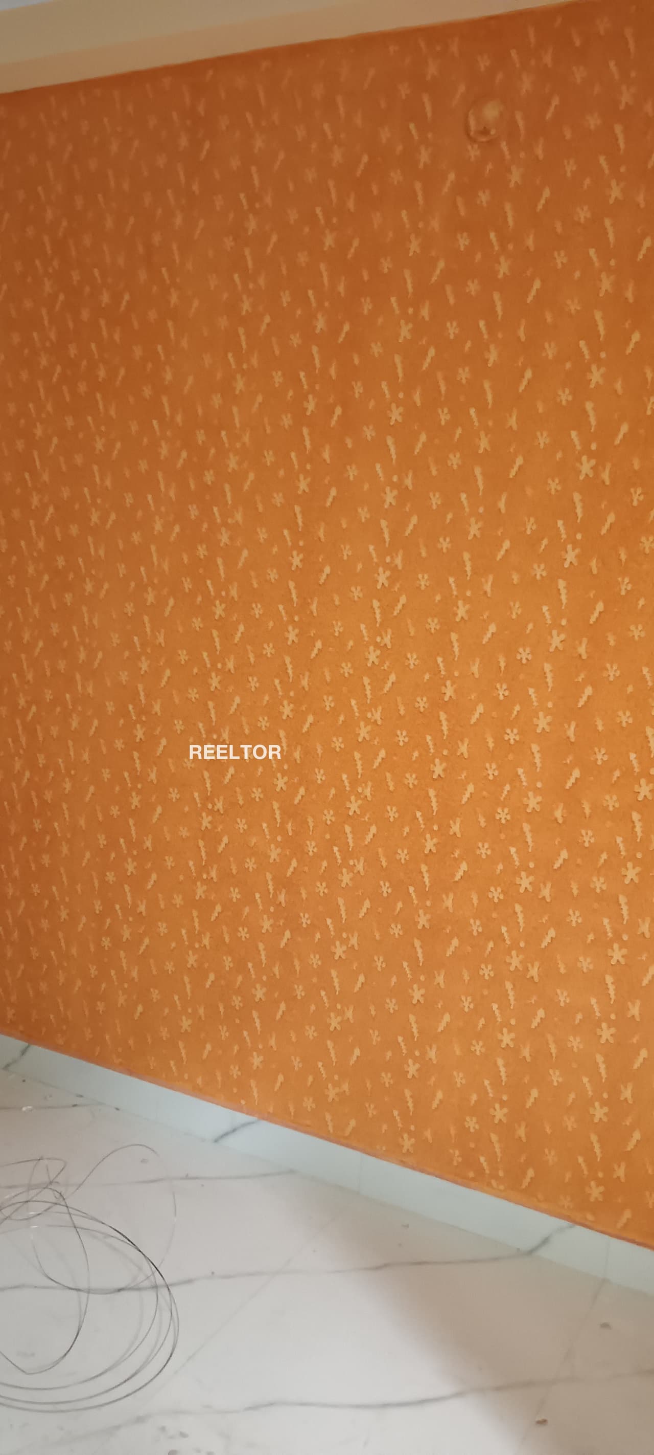 Flat For Rent In Asandh Karnal