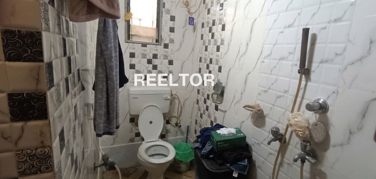 Pg For Rent In Dda Flats C Block Model Town