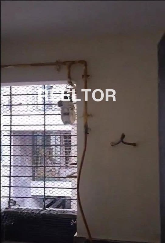 1 Bhk House For Rent In Exclusive Apartment Cuttack
