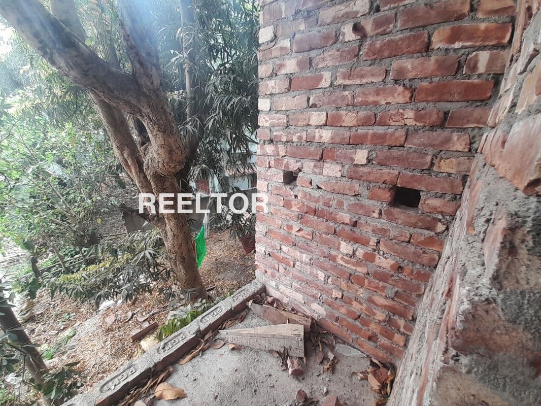 Flat For Rent In Harlalpura Fatehgarh Sahib