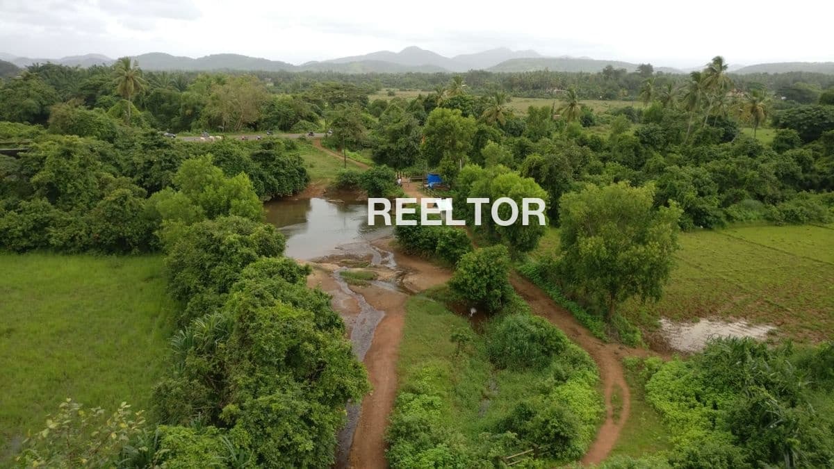 Rent 3 Bhk Home In Bina Kamal Apartment Darbhanga