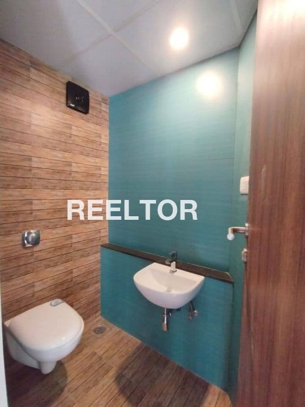 Flat For Rent In Shahpur Jat Hauz Khas