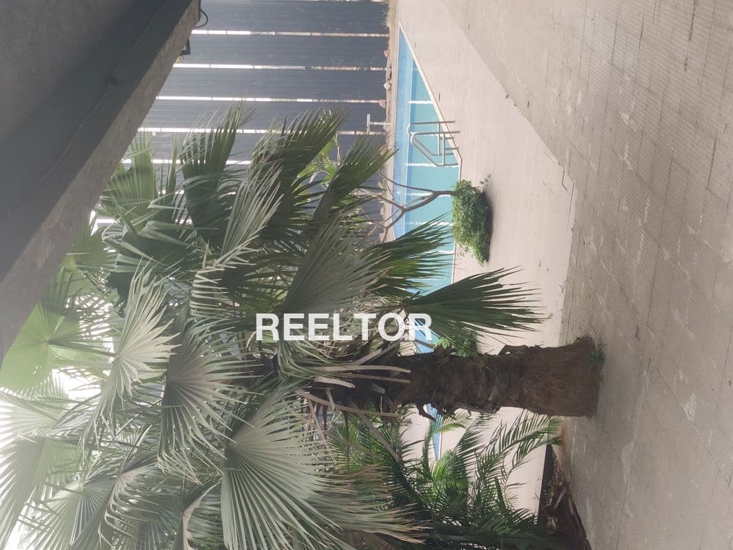 Flat For Rent In Khaira Najafgarh