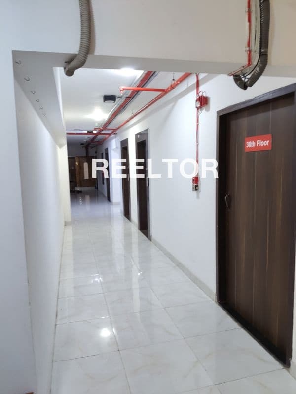 Pg For Rent In Dda Flats Model Town