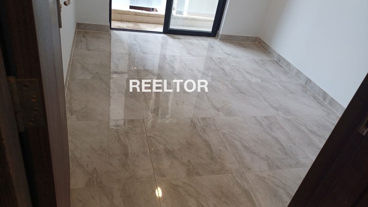 Pg For Rent In K Block Dda Flats Model Town