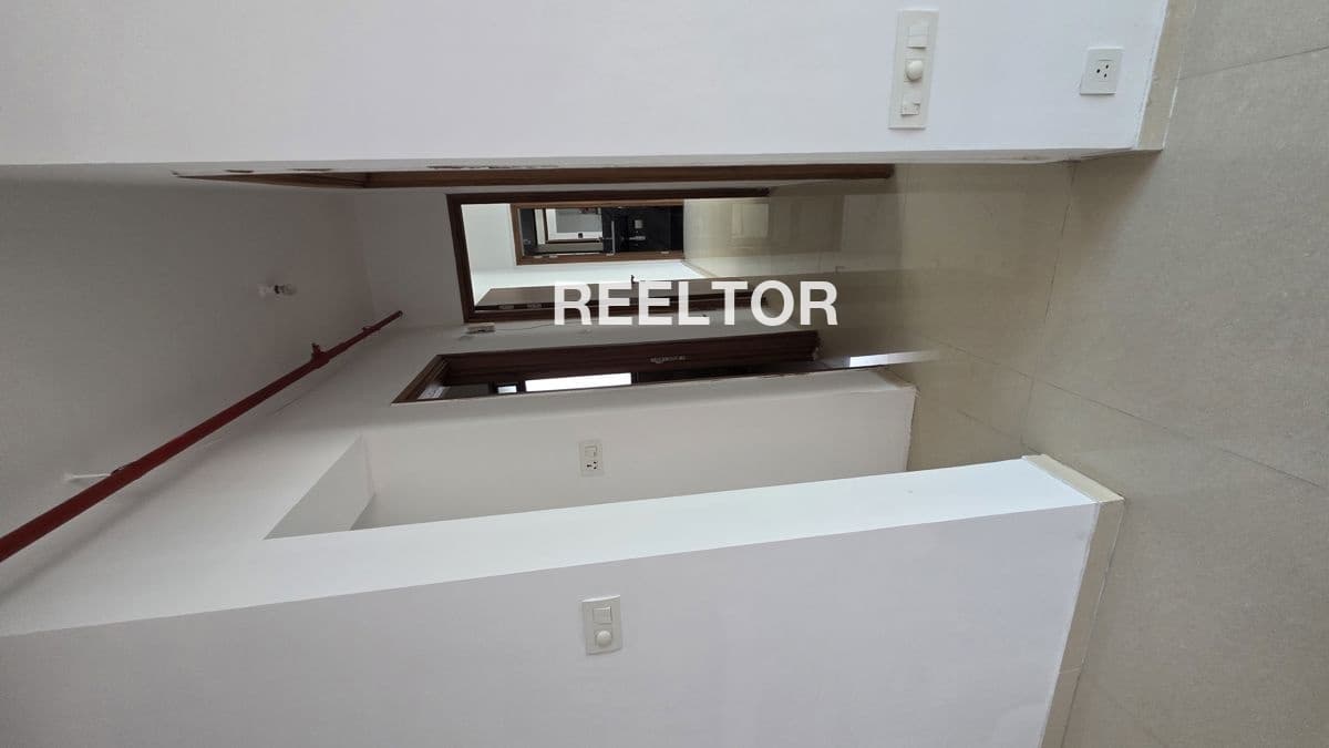 Pg For Rent In K Block Dda Flats Model Town