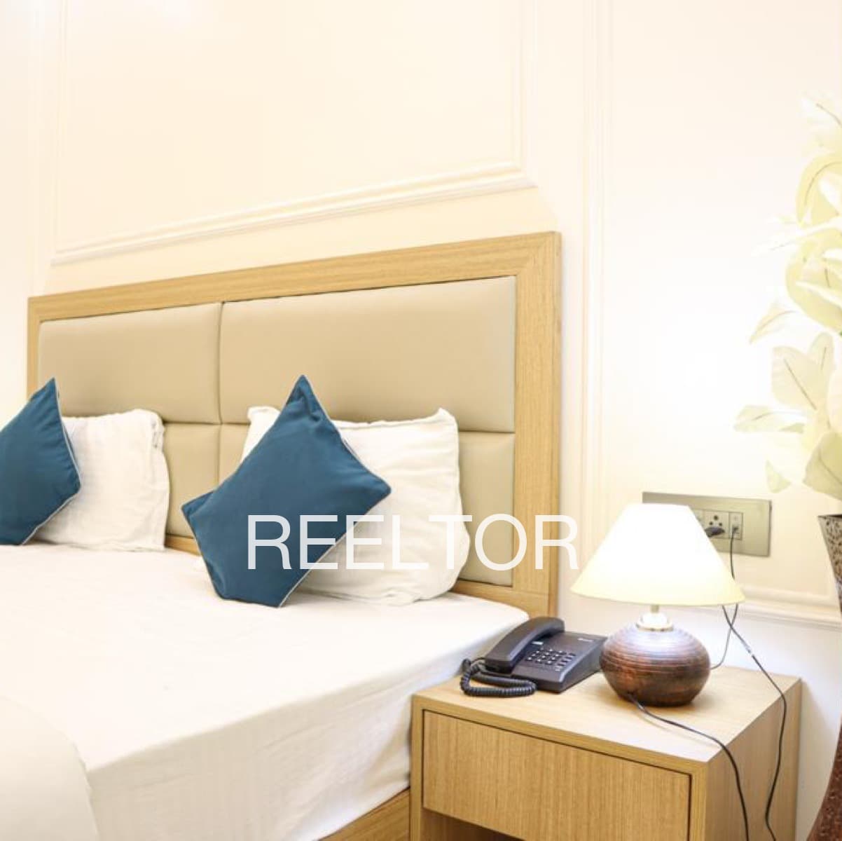 Pg In Mamura Noida Sector 59