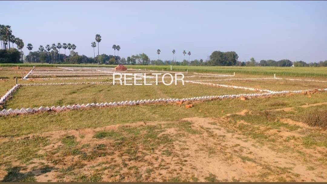 Buy 3 Bhk In Pathada Chhatarpur