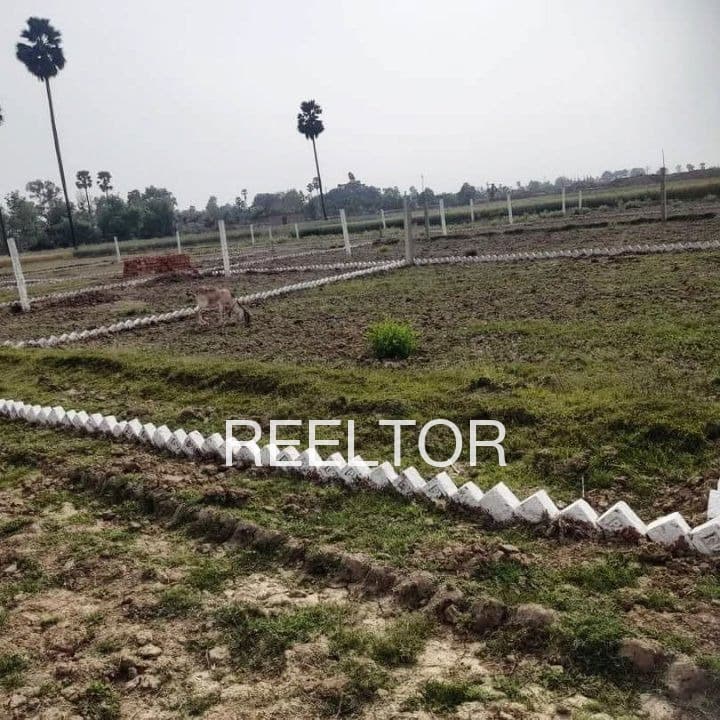 Plot For Sale In Tulsipur