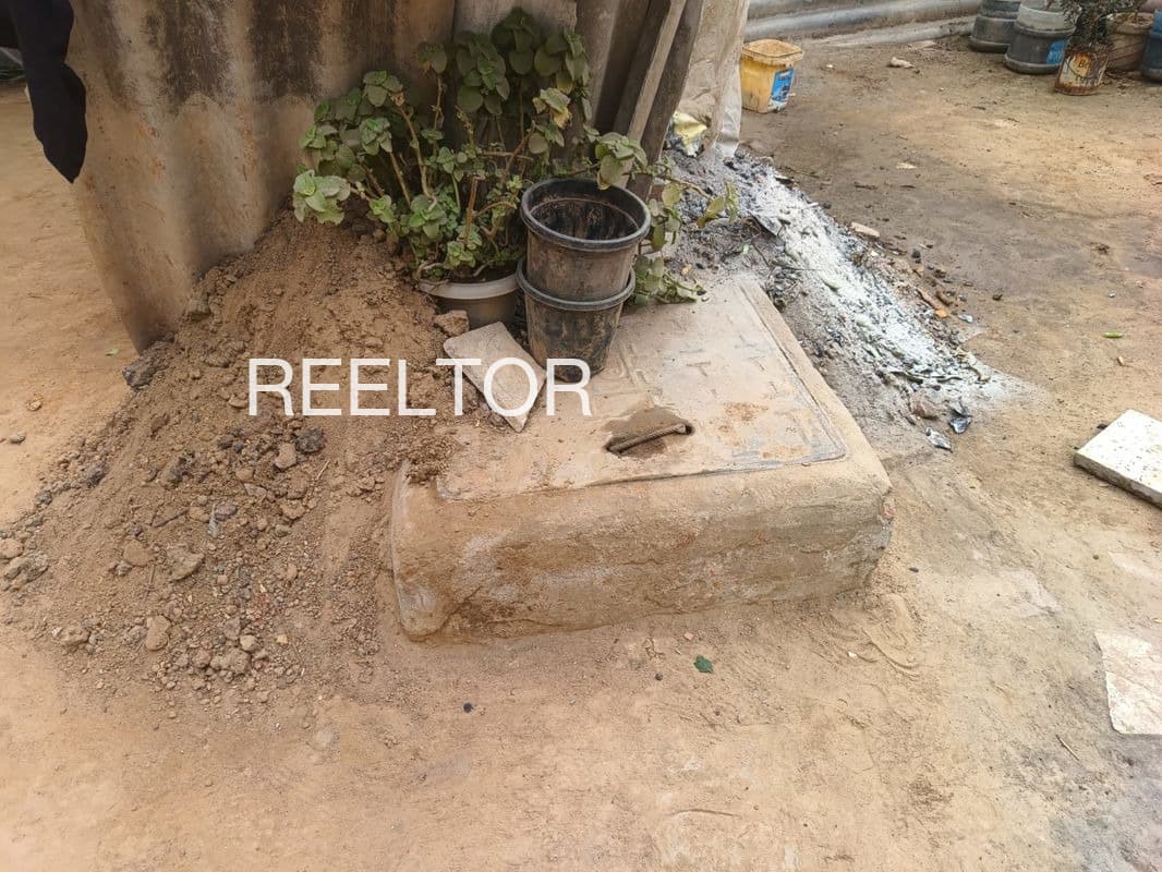 Find 3 Bhk In Jodky For Rent Rajgarh