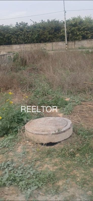 Plot For Sale In Nautanwa