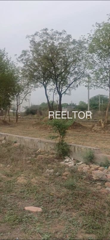 Available 3 Bhk In Chhabron Rajgarh