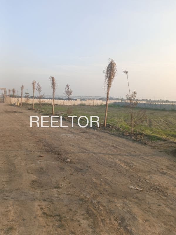 3 Bhk For Sale In Mandwal Rajpura