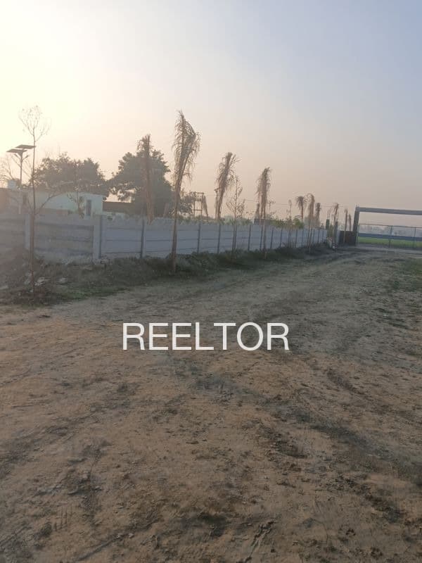 Plot For Sale In Mahendragarh