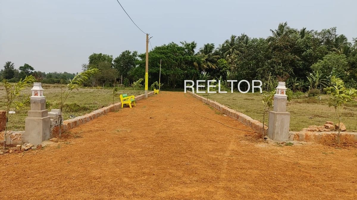 Plot For Sale In Soyagaon