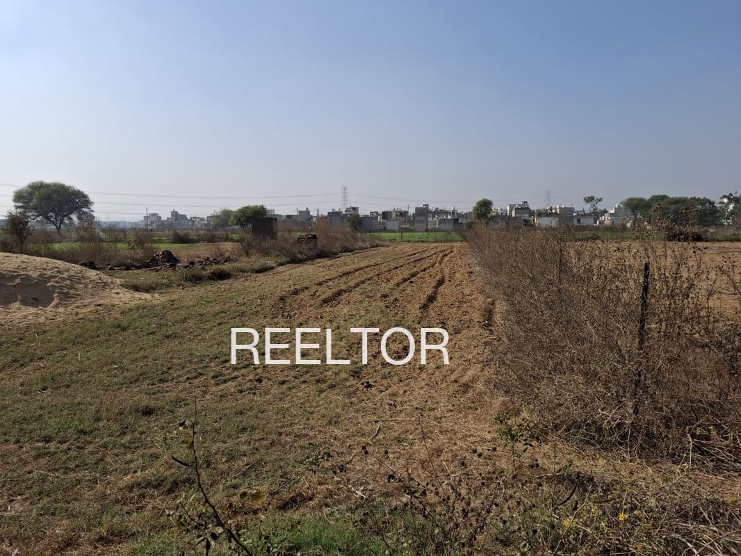 Plot For Sale In Madikeri
