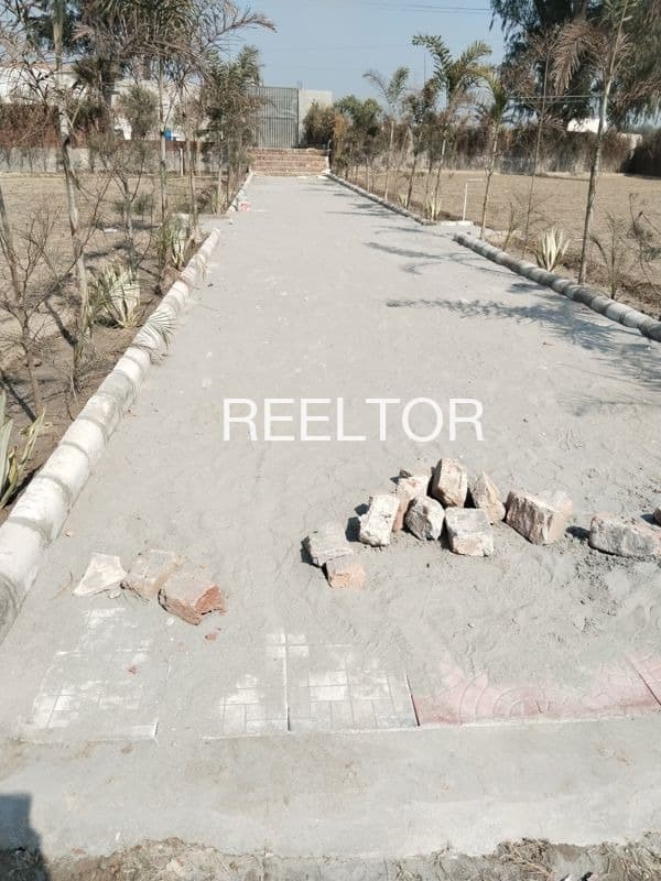 Buy 4 Bhk In Kulhari Mandi