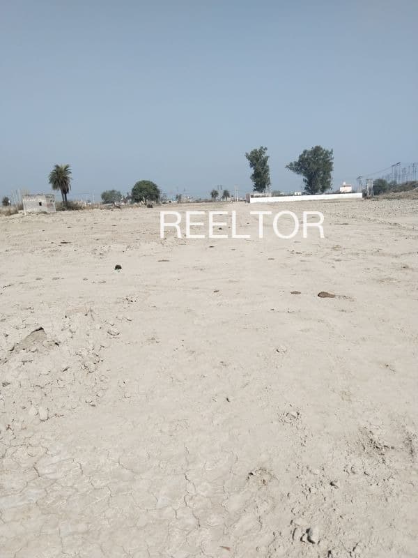 Available 3 Bhk In Bhad Shimla