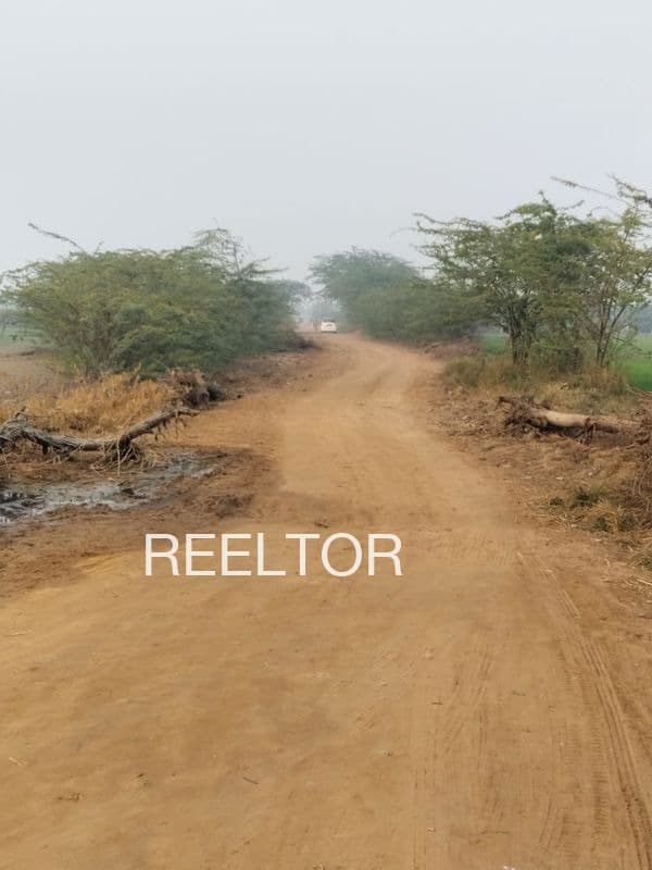 Plot For Sale In Mahidpur