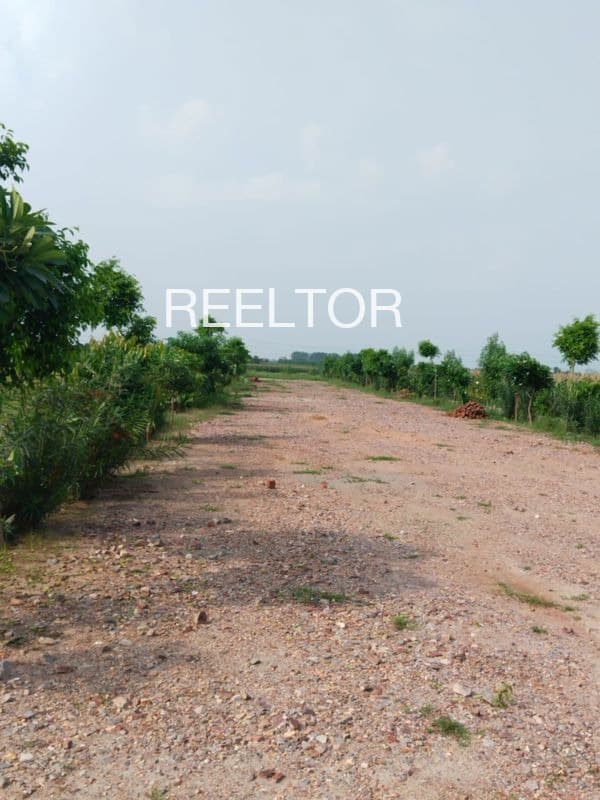 Available 2 Bhk In Haritha Heights Sattenapalle