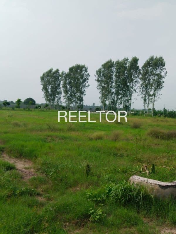 Buy 3 Bhk In Tutwala Abohar