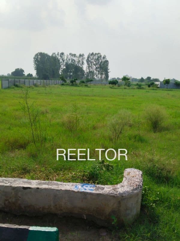Plot For Sale In Nautanwa